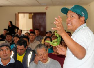 Áncash: Senasa promueve manejo integrado de plagas en cítricos