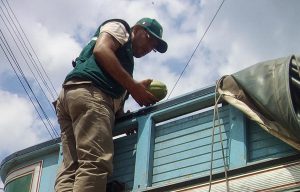 Inspección del Senasa - San Martín