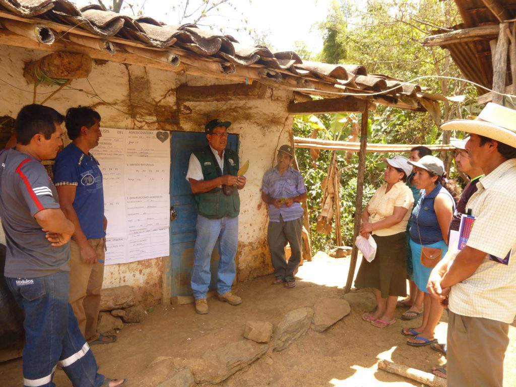 Escuelas de Campo de Agricultores del Senasa Piura