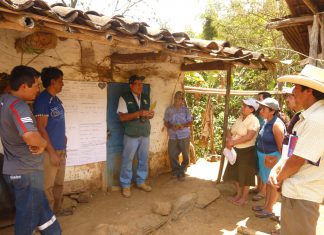Piura: Senasa orienta a productores de café en el manejo integrado de plagas