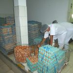 Senasa – Inocuidad de los alimentos