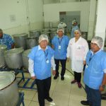 Senasa – Inocuidad de los alimentos