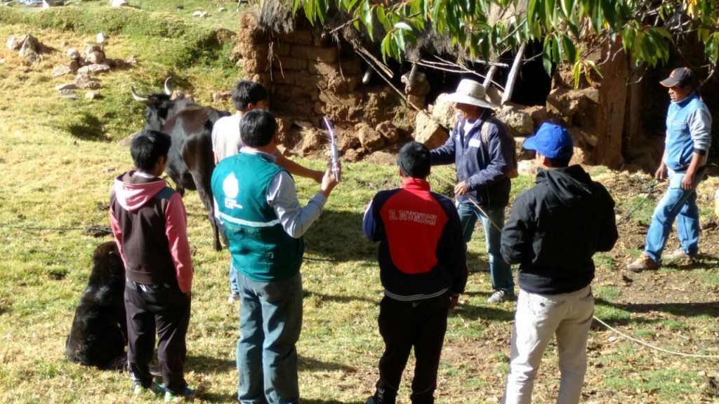 Cláse práctica del Senasa