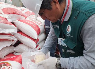 Lima: inspección fitosanitaria a 800 toneladas de arroz provenientes de Brasil