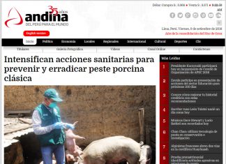 Junín: Senasa intensifica acciones sanitarias para prevenir y erradicar peste porcina clásica
