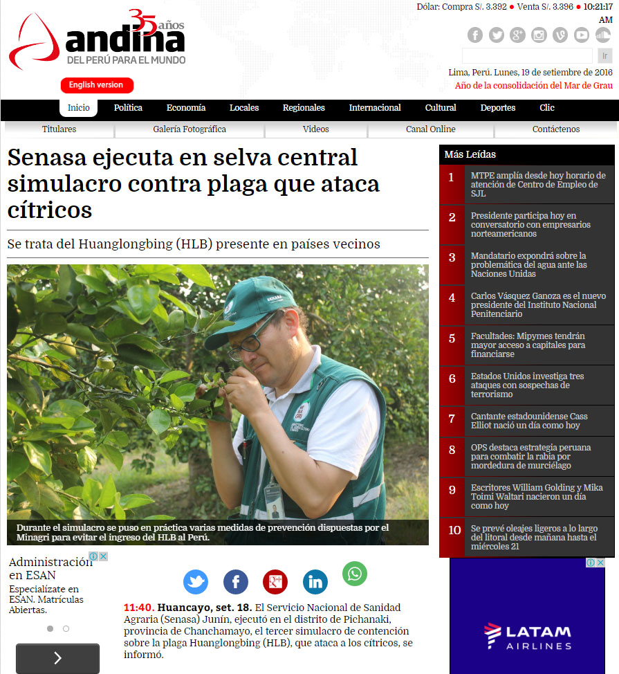 andina---cítricos