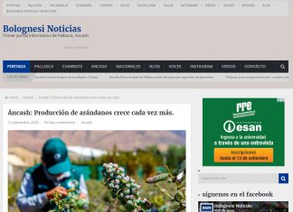 Senasa – Bolognesi Noticias: Ancásh – Producción de arándanos crece cada vez más