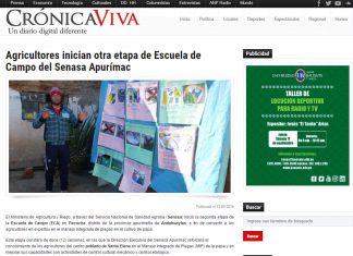 Senasa – Crónica Viva: Agricultores inician otra etapa de Escuela de Campo del Senasa en Apurímac