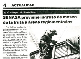 Senasa – Diario Hoy: Senasa previene ingreso de mosca de la fruta a áreas reglamentadas
