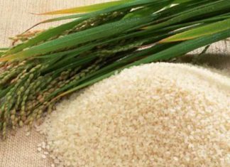 Perú y Colombia establecen acuerdos para nuevas cuotas de arroz peruano
