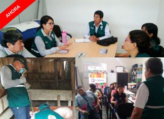 Senasa en las regiones