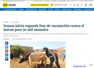 Senasa – RPP: Senasa inicia segunda fase de vacunación contra el ántrax para 50 mil animales