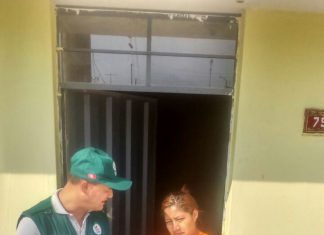 Senasa en las regiones: Calma en San Martín mientras se realiza encuesta de inocuidad