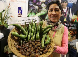 Minagri crea Registro Nacional de Legumbres Nativas Peruanas