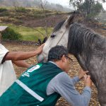 img_20160928_161732162