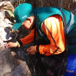 img_20161011_154733486-1