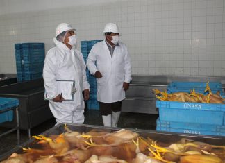 Aseguramos la inocuidad en establecimientos autorizados para el faenado de aves