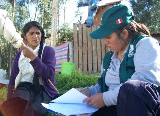 Cajamarca: Senasa realiza encuesta sobre sanidad porcina