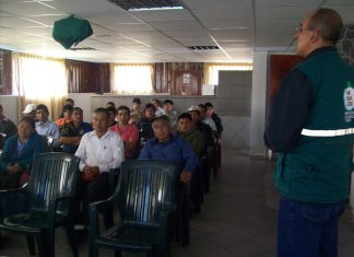 Cajamarca: Senasa difunde buenas prácticas para prevención de enfermedades apícolas