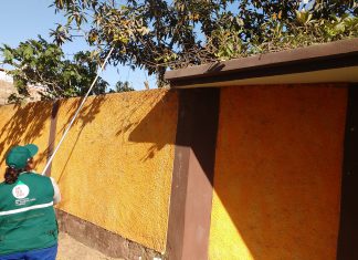 Senasa establece plazo de cosecha para el níspero de Japón y Hueso en Chincha