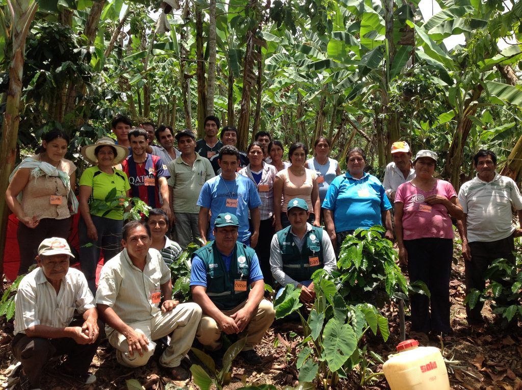Escuela de Campo de Agricultores del Senasa en Amazonas