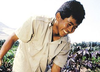 Ministerio de Agricultura aprueba el Plan AgroJoven