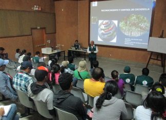 Piura: Agroexportadores incrementan sus conocimientos en el control de moscas de la fruta