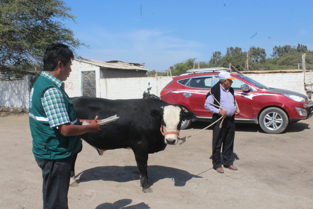 Senasa en XVII Feria Regional Ganadera 