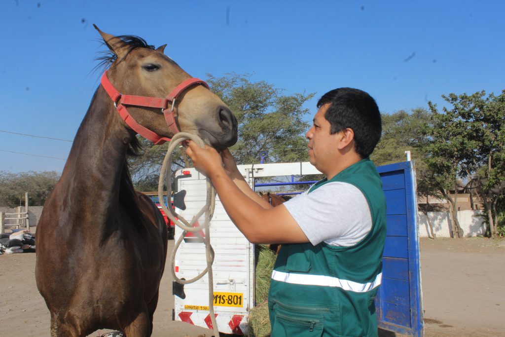 Senasa en XVII Feria Regional Ganadera 