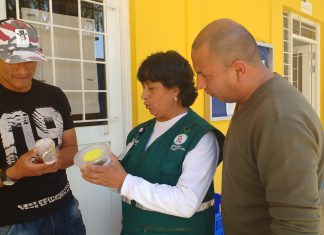 Ica: Senasa impulsa uso de controladores biológicos en cultivos de exportación