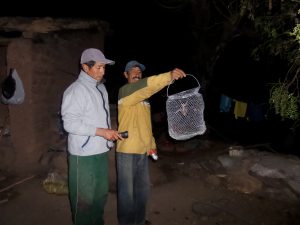 Senasa ejecuta medidas preventivas contra la rabia