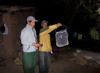 Cusco: Senasa ejecuta medidas preventivas contra la rabia