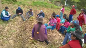 Senasa desarrolla Escuelas de Campo de Agricultores en Apurímac