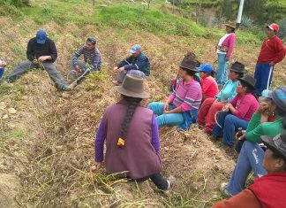 Apurímac: Senasa implementará Escuela de Campo en Yanaca