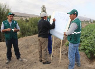 Arequipa: Senasa desarrolla Escuela de Campo en La Joya