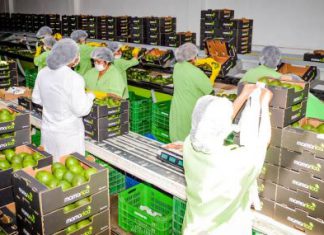 ¿Cuáles son los productos de agroexportación que ya despachamos a China?