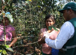 Senasa beneficia a cerca dos mil familias de Junín con Escuelas de Campo de Agricultores
