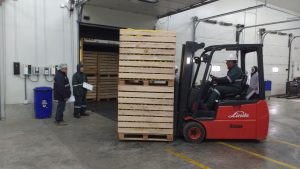 Senasa - tratamiento en frío de cítricos