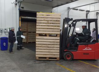 Huaral: Senasa inspecciona tratamiento en frío de cítricos para exportación