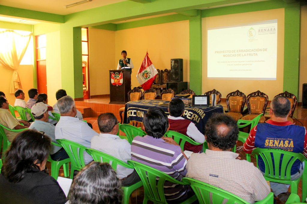 Senasa - Control Integrado de Moscas de la Fruta en Áncash