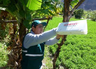 Senasa fortalece vigilancia contra plagas en cultivos de la provincia de Abancay