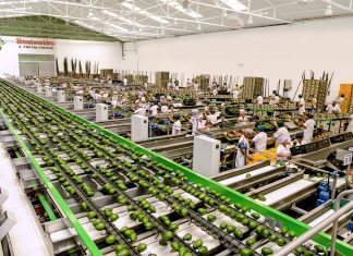 Agroexportaciones: La Revolución Verde