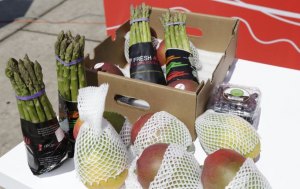 Exportaciones con valor agregado a China crecerían 30% el 2017