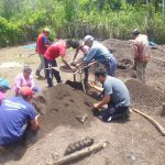 Senasa – Embolsado de sustrato