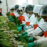 Exportaciones peruanas a La India crecen 86% en primeros 9 meses del año