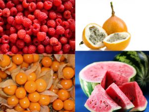 Conozca las 10 futuras estrellas de la agroexportación