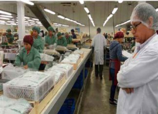 Importancia de la inocuidad de los alimentos en establecimientos de procesamiento primario