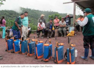 Plaguicidas bien utilizados minimizan riesgos en la salud humana y ambiente