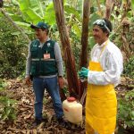 Productor con implementos de protección previo a la aplicación de plaguicidas