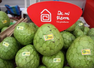 Perú puede ser puerta de entrada para inversiones asiáticas en Sudamérica